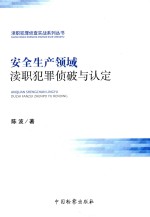 渎职犯罪侦查实战系列丛书  安全生产领域渎职犯罪侦破与认定