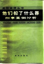 他们犯了什么罪 刑事案例分析