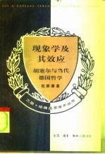 现象学及其效应  胡塞尔与当代德国哲学