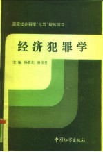 经济犯罪学