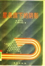 星条旗下的阴影 美国的社会事务与公共政策