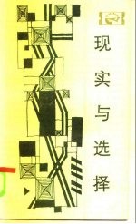 现实与选择 代中国工业的结构与体制