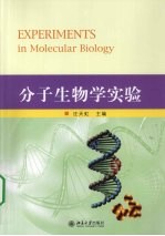 分子生物学实验