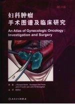 妇科肿瘤手术图谱及临床研究 第2版