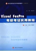 Visual FoxPro考级考证实用教程