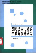 风险资本市场的生成与演进研究