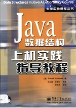 Java数据结构上机实践指导教程