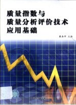 质量指数与质量分析评价技术应用基础