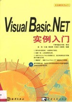 Visual Basic.NET实例入门