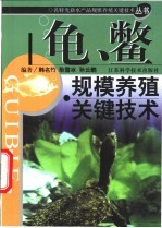 龟、鳖规模养殖关键技术