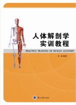 人体解剖学实训教程