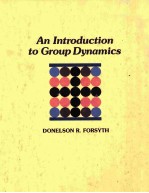 An Introduction To Group Dynamics