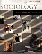 Sociology A Global Perspective Sixth Edition