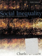 Social Inequality Forms