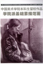 中国美术学院本科生留校作品 学院派基础素描范画