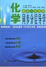 化学同步分层导学 高中一年级 修订版