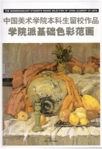 中国美术学院本科生留校作品 学院派基础色彩范画