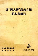 还“四人帮”以老右派的本来面目