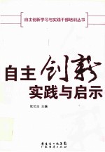 自主创新实践与启示