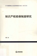 知识产权担保制度研究