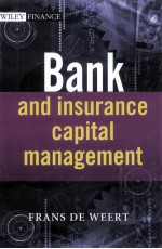 BANK AND INSURANCE CAPITAL MANAGEMENT