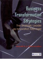 BUSINESS TRANSFORMATION STRATEGIES