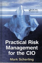 PRACTICAL RISK MANAGEMENT FOR THE CIO