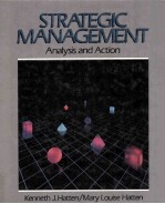 Strategic Management Analysis and Action