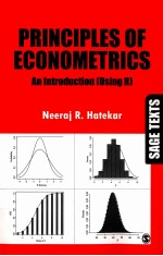 PRINCIPLES OF ECONOMETRICS:AN INTRODUCTION(USING R)