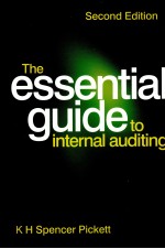 THE ESSENTIAL GUIDE TO INTERNAL AUDITING SECOND EDITION