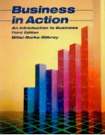 BUSINESS IN ACTION:AN INTRODUCTION BUSINESS THIRD EDITION