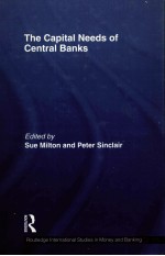 THE CAPITAL NEEDS OF CENTRAL BANKS