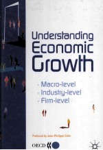 UNDERSTANDING ECONOMIC GROWTH