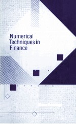 NUMERICAL TECHNIQUES IN FINANCE