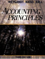 ACCOUNTING PRINCIPLES