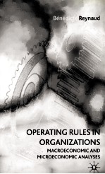 OPERATING RULES IN ORGANIZATIONS