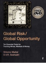 GLOBAL RISK/GLOBAL OPPORTUNITY