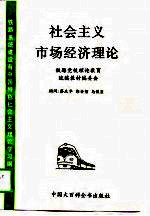 社会主义市场经济理论