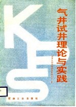 气井试井理论与实践