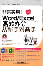 非常实用！Word/Excel高效办公从新手到高手 图解视频版