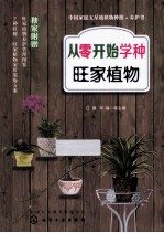 从零开始学种旺家植物