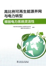 高比例可再生能源并网与电力转型 释放电力系统灵活性