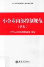 小企业内部控制规范培训指定用书  小企业内部控制规范  试行