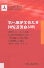 氮化硼纳米管及其陶瓷基复合材料