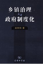 乡镇治理与政府制度化