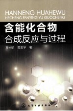 含能化合物合成反应与过程