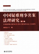 中国疑难刑事名案法理研究 第6卷