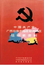 中国共产党广西壮族自治区钦州地区组织史资料  1926-1987