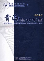 青海统计年鉴 2013