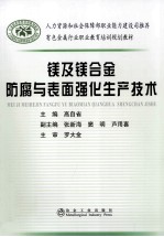 镁及镁合金防腐与表面强化生产技术